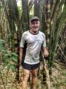 Dense bush: Large bamboo shoots both sides of me